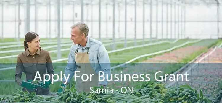 Apply For Business Grant Sarnia - ON